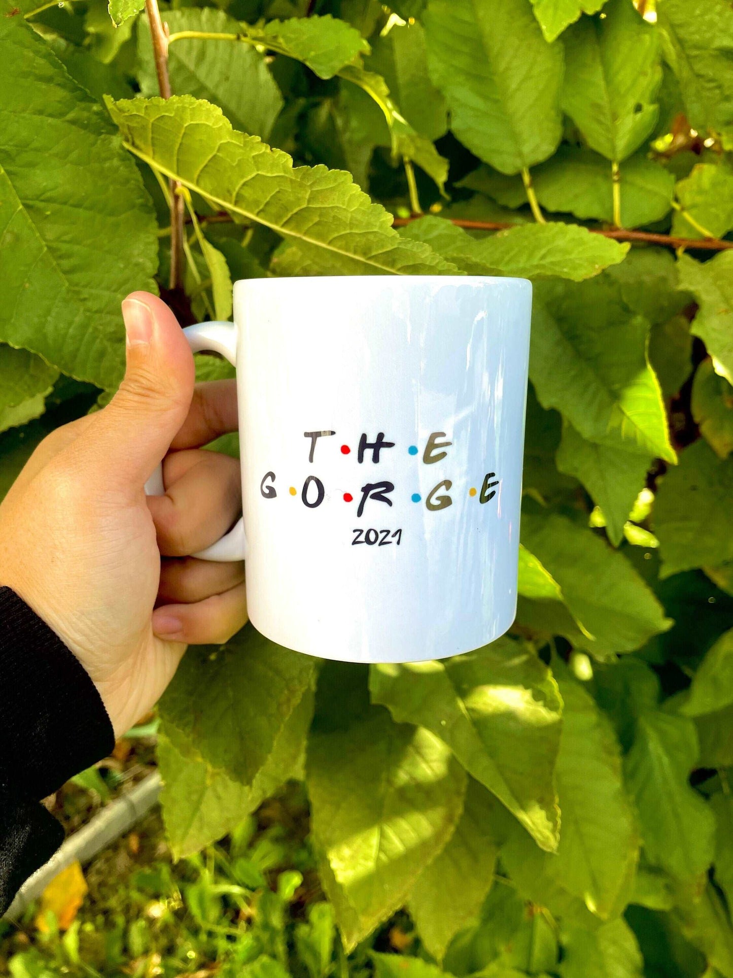 the gorge 2021 coffee mug